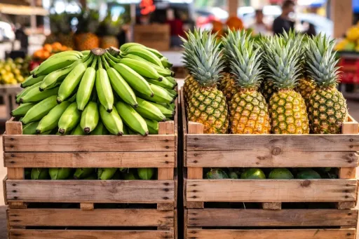 Service d'approvisionnement de fruits