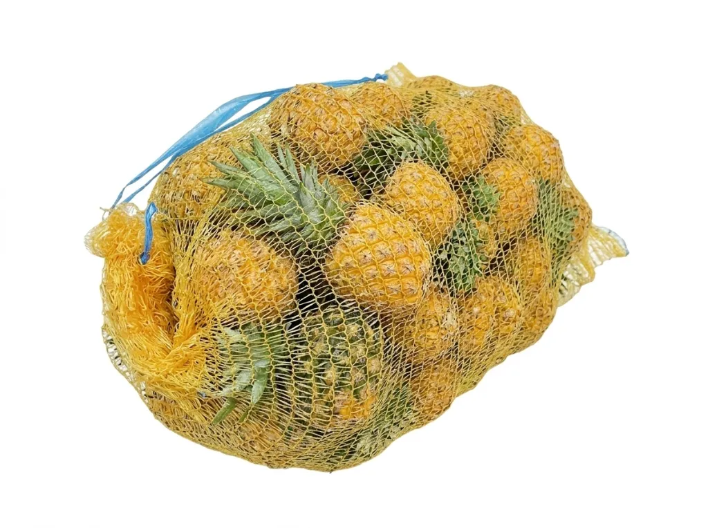 Gemini_Generated_Image_e8l2dee8l2dee8l2 (1).webp