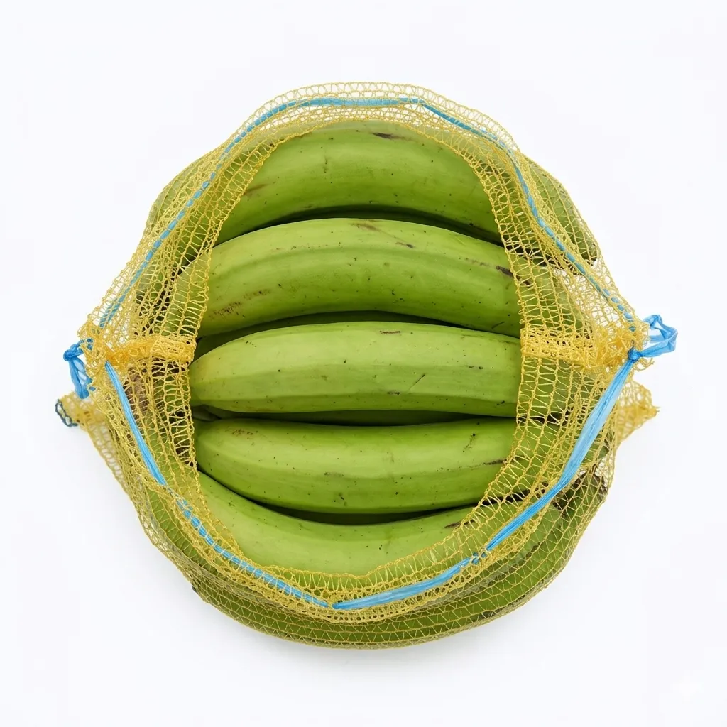 Gemini_Generated_Image_9v61s59v61s59v61 (4).webp