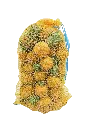 Filet d'ananas
